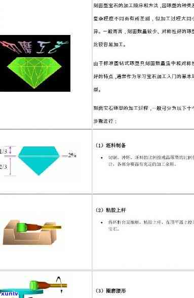 深圳大益普洱茶师总裁是谁：揭秘公司高管身份