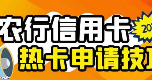 农业银行信用卡办哪个卡最合适？全网热议！