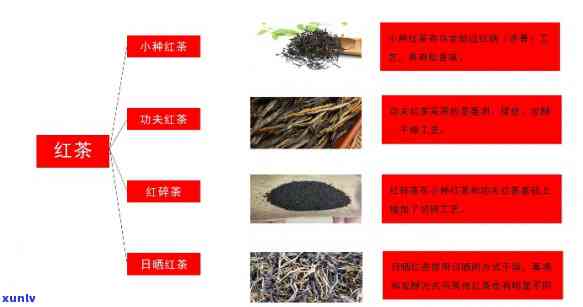 红茶商用的1号2号是什么，探究红茶商用中的1号和2号分别指代什么？