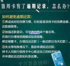 品味醇厚，感受帝泊洱即溶普洱茶珍的独特魅力：如何享用这款珍贵的普洱茶？