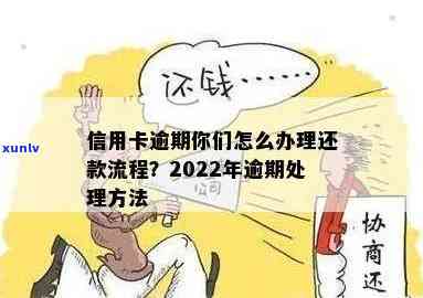 2022年信用卡逾期流程，全面解析：2022年信用卡逾期的解决流程