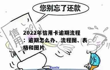 2022年信用卡逾期流程，全面解析：2022年信用卡逾期的解决流程