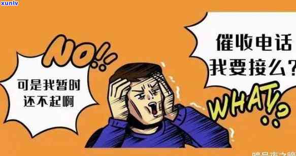 12月起全面停止？起因何在？