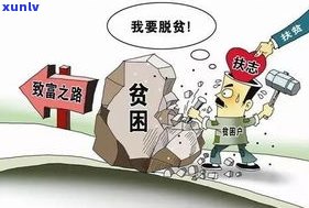 老班章村一年产量多少？21号价格及面积解析