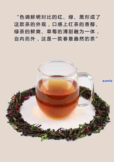 口红茶全国有多少家-口红茶全国有多少家店