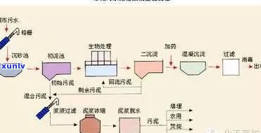 黄绿翡翠牌子图片价格全揭秘：价值几何？属于哪个档次？手镯图片大赏！