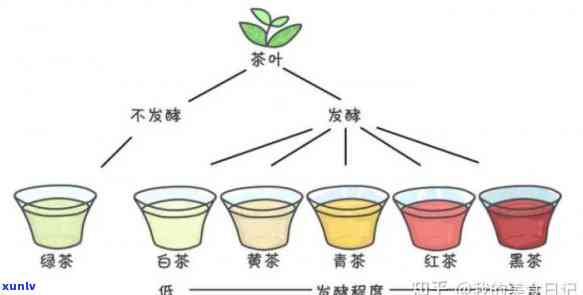 红茶茶多酚含量多少克，探究红茶中的茶多酚含量：多少克为宜？