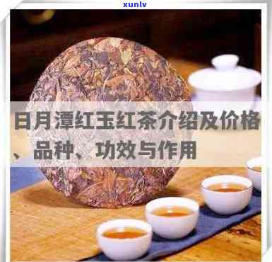 日月潭红玉：什么茶？红茶介绍与分类