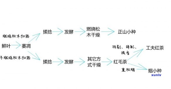 红茶香气形成的途径是，探秘红茶香气形成之路：从茶叶采摘到饮用的全过程解析