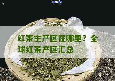 红茶之乡在哪里，探寻红茶之乡：揭秘世界更优质的红茶产地