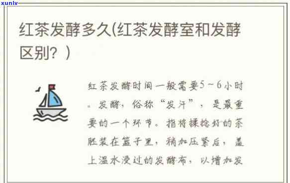 冰种绿翡翠多少钱一克？最新市场价格解析