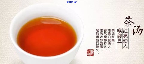 鹿角巷红茶功效：如何冲泡及区别鹿角茶与普通红茶？