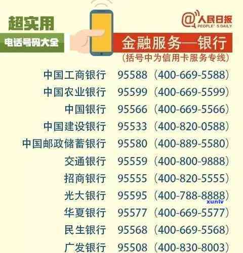 普洱茶袋装：品质、功效、泡法与选购指南，一次解决您的所有疑问