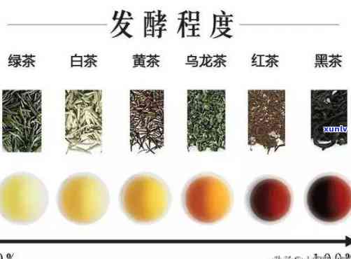 发酵的茶对人体有害吗？探讨其可能的风险与原因