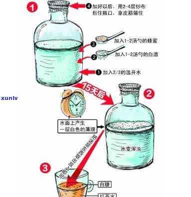 探寻冰岛生普的神秘之源：千年古茶树的珍稀佳品