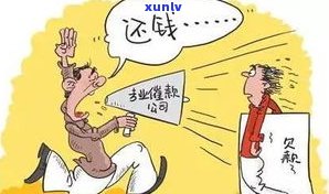 网贷逾期应对  ：全面解析与实战指南