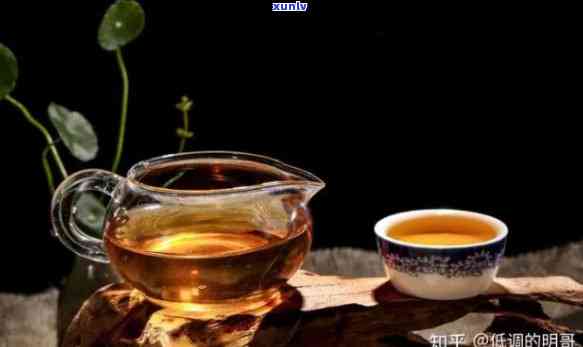 一杯茶叶能喝一天吗？知乎上的答案与起因解析