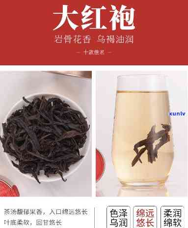 一匹罐茶隔夜能喝吗-一匹罐茶叶禁忌