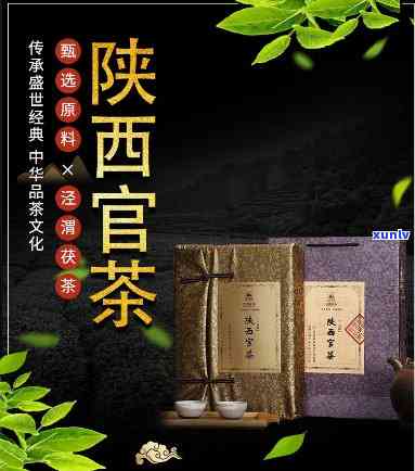 陕西官茶天能喝吗-陕西官茶好喝吗