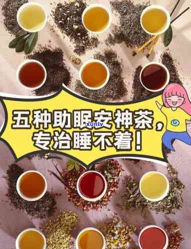 '龙园号普洱茶：品质越，价格公道，非学费茶的代表'