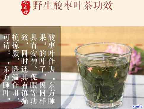 喝酸枣叶茶会上火吗-喝酸枣叶茶会上火吗?