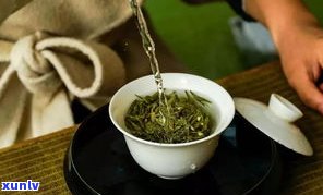 海古树茶是什么茶：探讨海古树茶的种类、特点与品质。