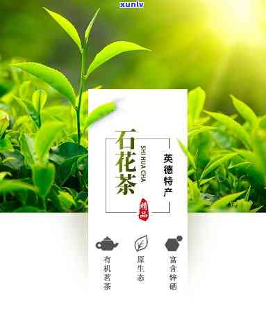 石崖茶可以煮着喝吗？有吗？能喝吗？