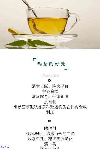 喝根茶能降血压吗？原因解析