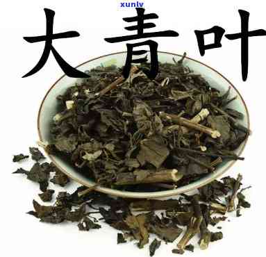 孕妇能喝大青叶茶吗-孕妇能喝大青叶茶吗早期