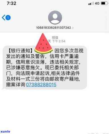 翡翠大马坎的料子怎么样，深度解析：翡翠大马坎料子的品质与特点