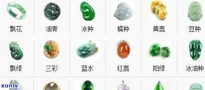 宝玉石指什么生肖？揭示神秘生肖动物的身份