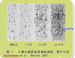 宝玉石密度的测量 *** 及其视频教程