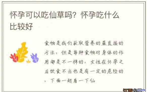 仙草茶孕妇可以喝吗晚期，仙草茶：孕妇晚期是否适合饮用？