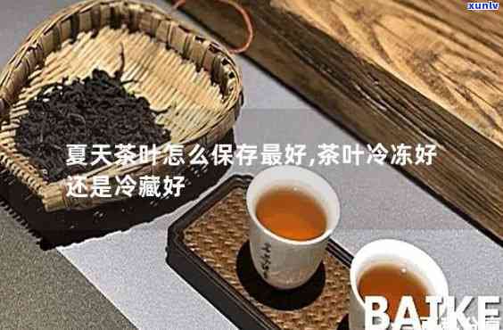 寒茶冷藏还可以喝吗-寒茶冷藏还可以喝吗知乎