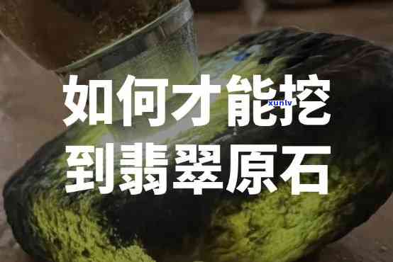 茶水的茶怎么组词，探究“茶水的茶”如何组词：从文化、历到实用性的全方位分析