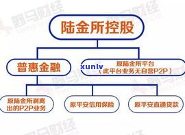 平安普信息服务是干嘛的，揭秘平安普信息服务：主营业务与服务内容详解