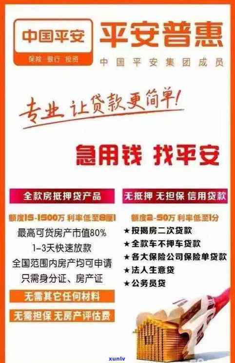 平安普信息服务是干嘛的，揭秘平安普信息服务：主营业务与服务内容详解