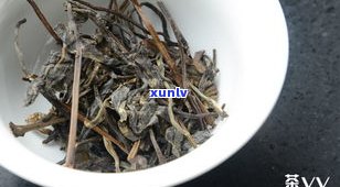 雨林古茶坊昔归价格-雨林古茶坊茶叶价格