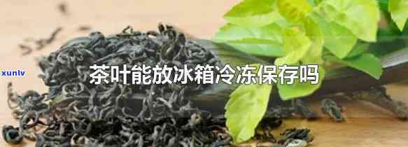 茶水冻冰箱隔夜还能喝吗？起因解析