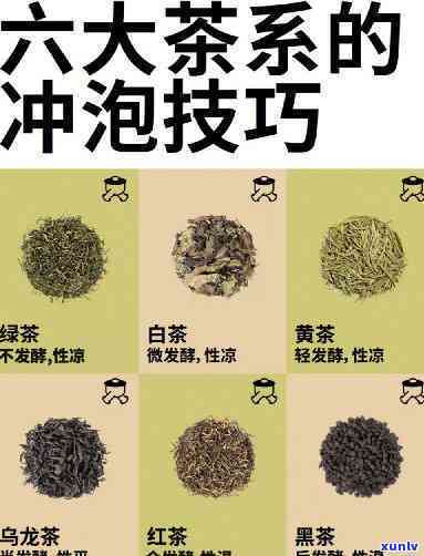 之一遍冲的茶能喝吗？有效果吗？全网解析