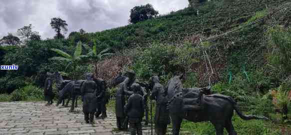 临沧昔归景点，《探秘云南临沧昔归景点，领略茶马古道的魅力》