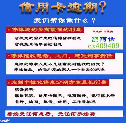 麻花翡翠镯子，闪耀夺目！麻花翡翠镯子，尽显东方古典美