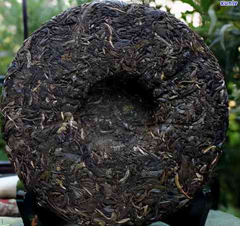 曼松生茶的口感特点是什么，探秘曼松生茶：独特口感特点解析