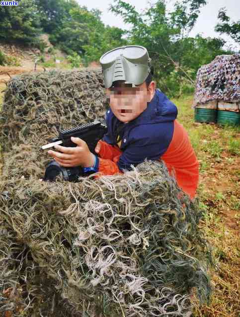 '兰香普洱茶兰香贵气价格：2006年兰茶坊普洱生茶特点解析'