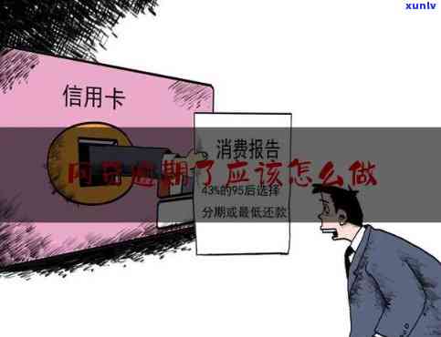 欠信用卡网贷50万想死-欠信用卡网贷50万无法偿还怎么办