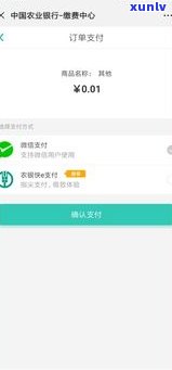 翡翠玉貔貅戒指的价格分析：克价，品质，购买途径等重要因素