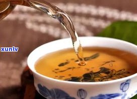 昔归特点：探索普洱茶的特别魅力与口感