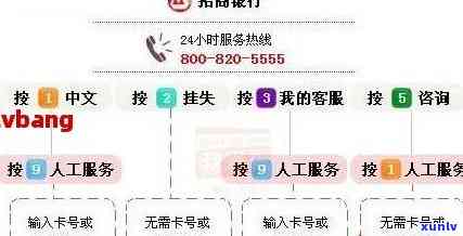 老班章排名前十盘点，名优价格解析