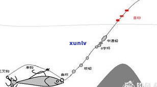 '大叶种普洱茶的祖先是：云南大叶种茶作为其原料'