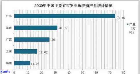 小玛瑙价格，了解小玛瑙的价格：一份详尽的市场分析报告